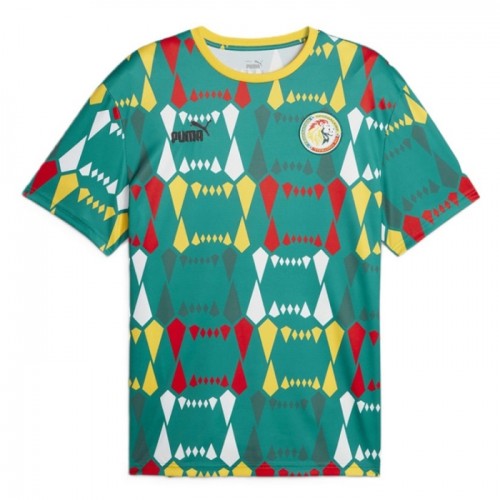 Camiseta Senegal 2024 1ª equipación